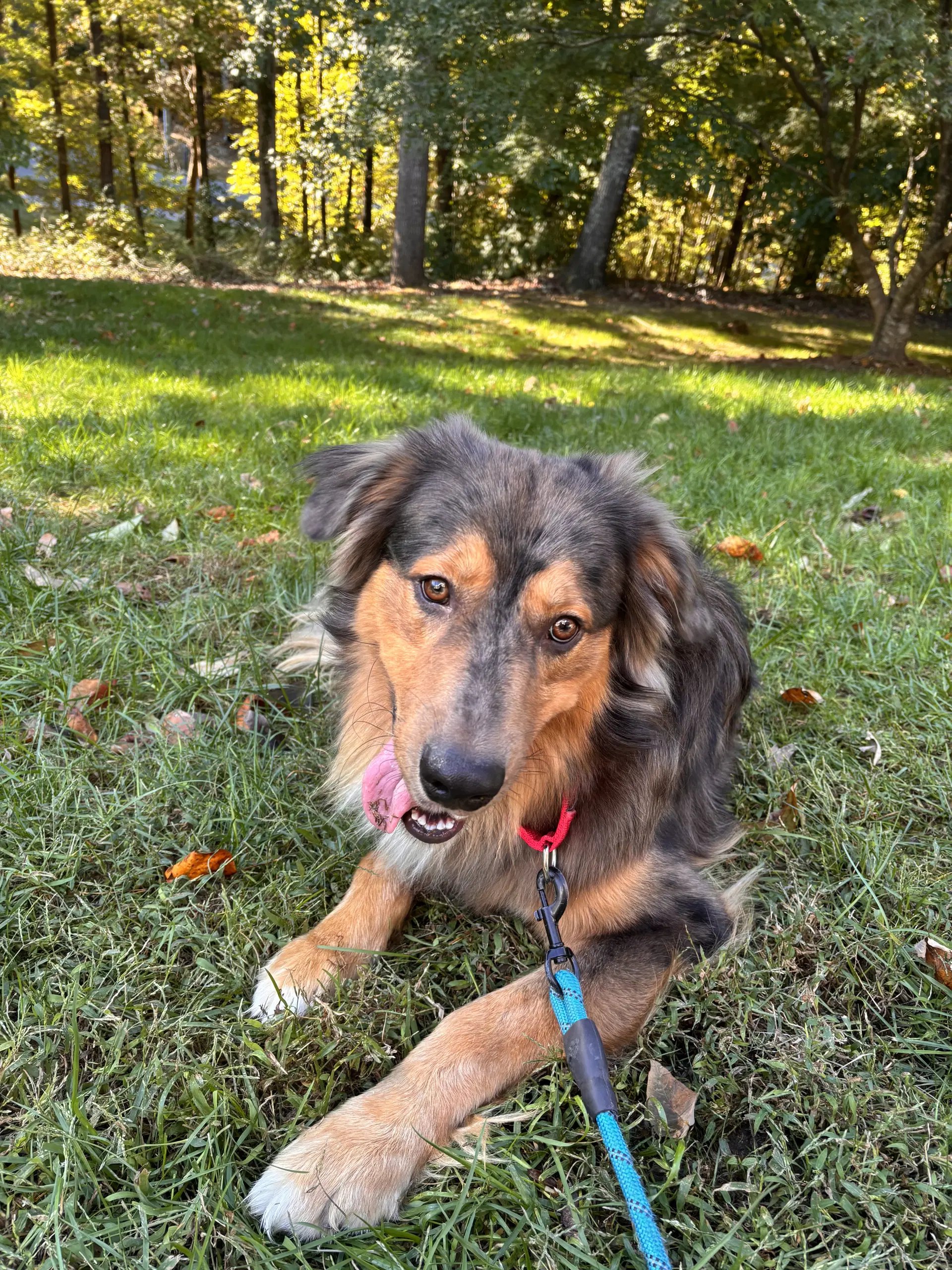 Loki image 4