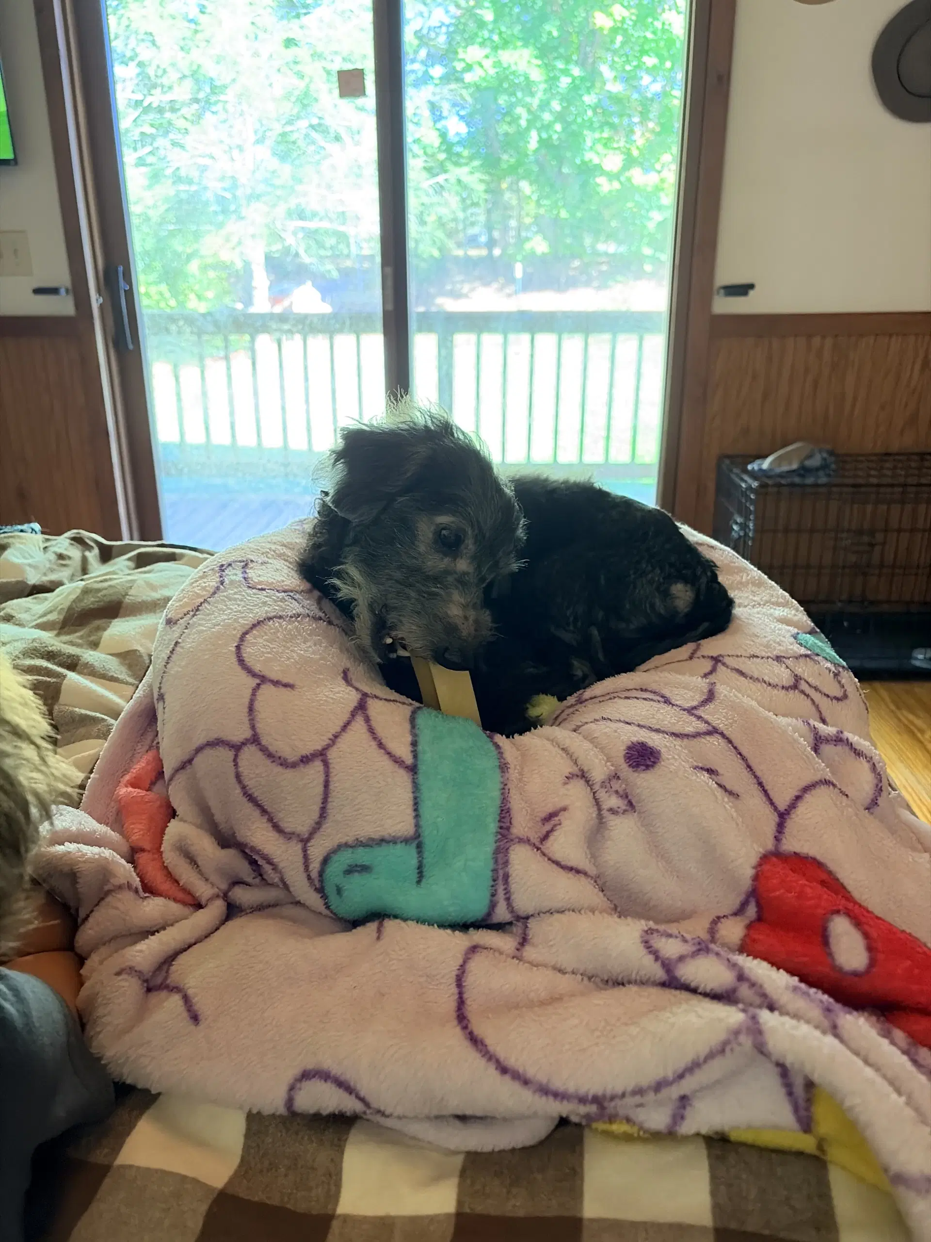 Sammie image 3