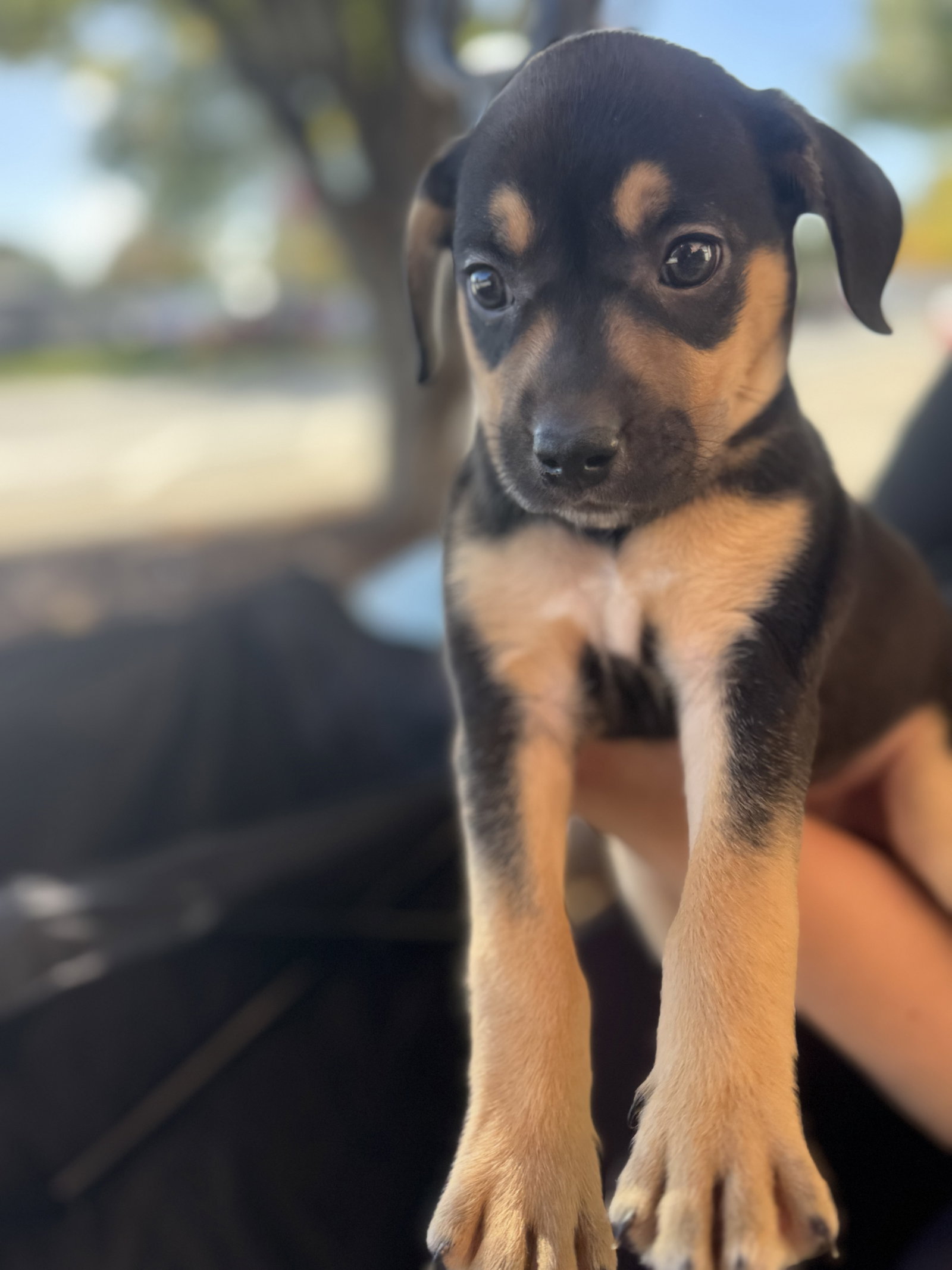 Winnie
