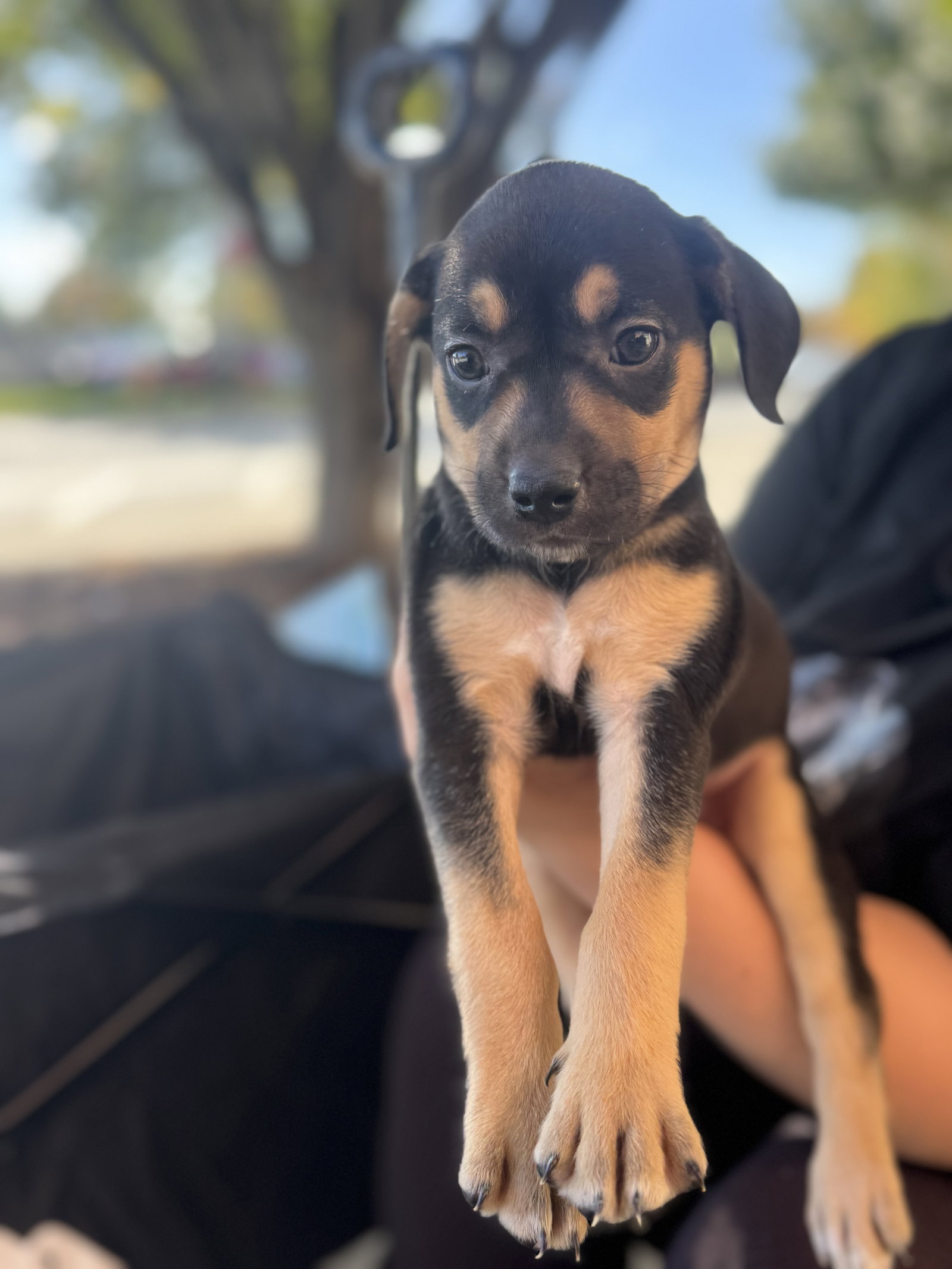 Winnie, photo 2