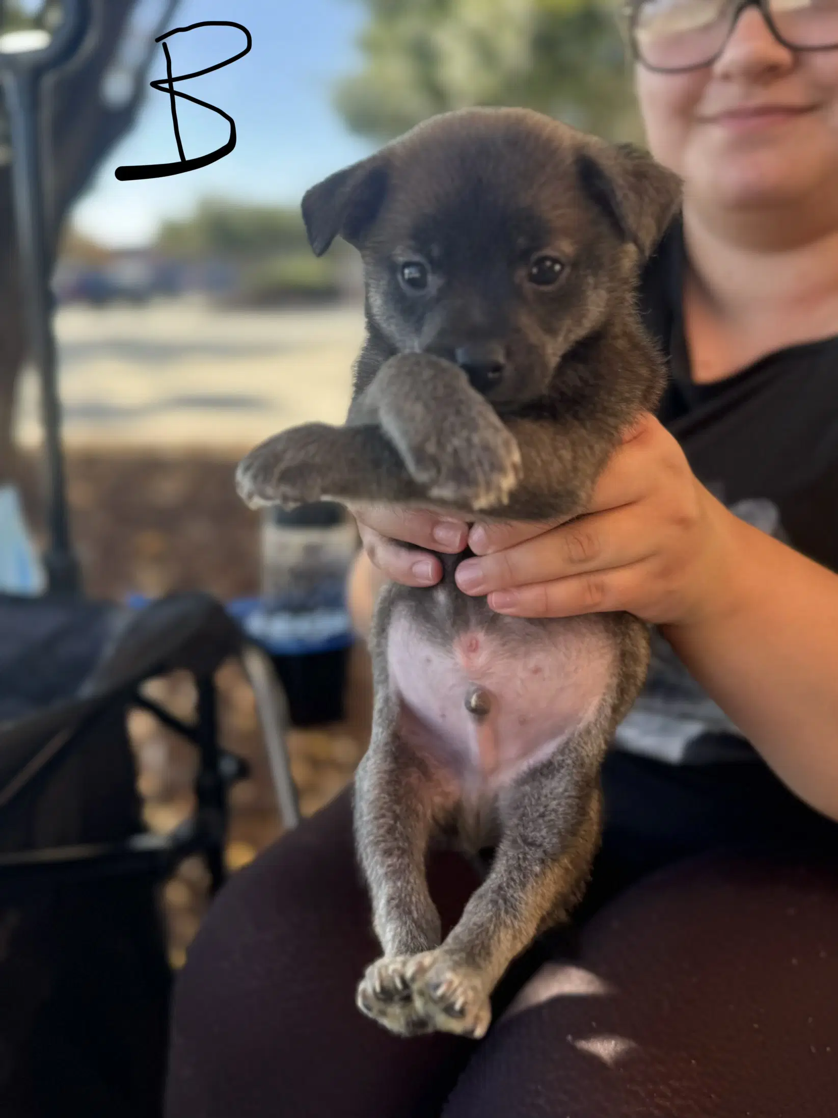Binx - Unknown