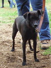 Waylon
