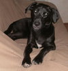 Runa