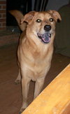 Grady