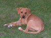 Baxter