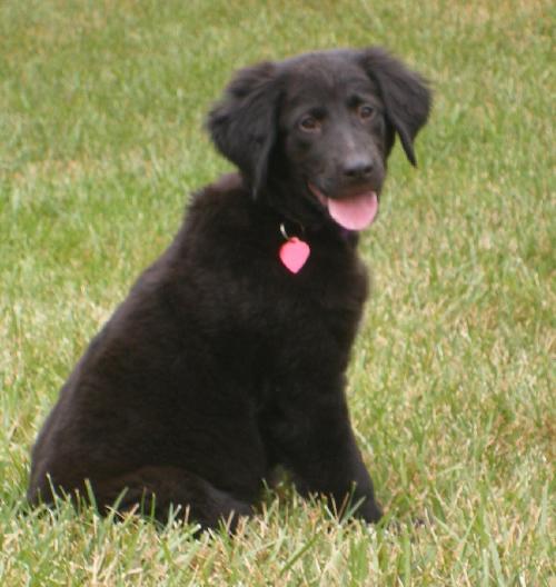 Molly