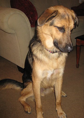 Silas