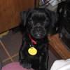 Abner