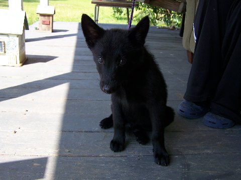 Nevaeh