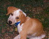 Flynn