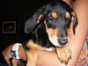 Kinley