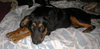Bronte-Khloe