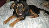 Bronte-Khloe