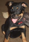 Lulu