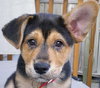 Benson
