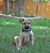 Charlie