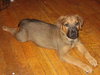 Charlie