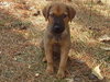 Charlie