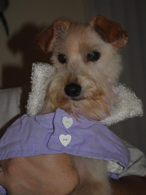 Tillie