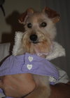 Tillie