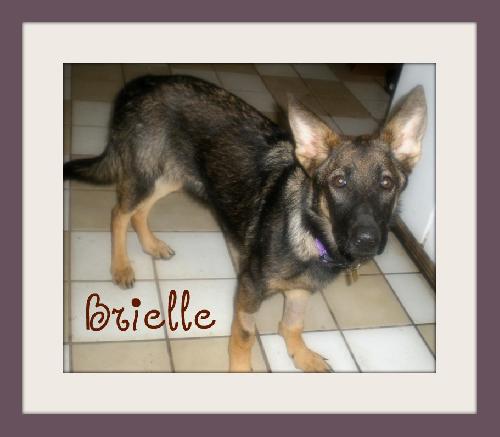 Brielle/Bella
