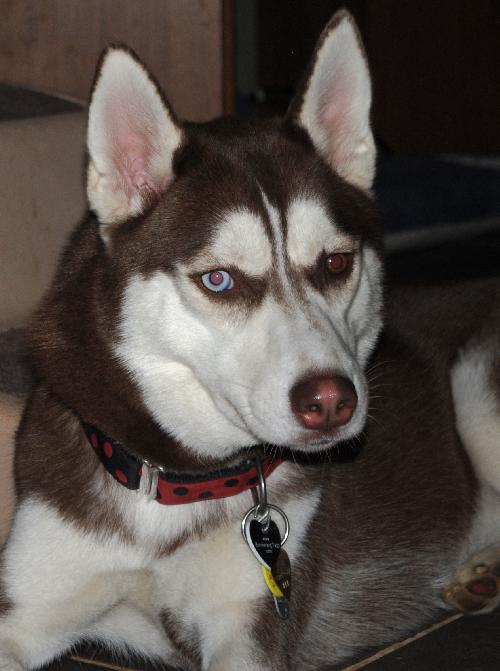 Juneau