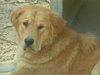 Charlie