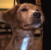 Charlie