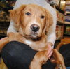 Charlie