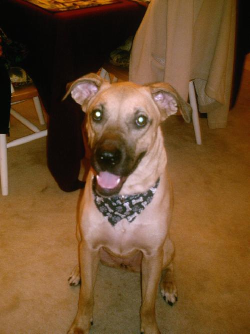 Bayleigh-Courtesy Listing