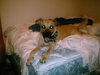 Bayleigh-Courtesy Listing