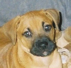 Ruby