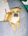 Ruby