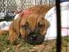 Ruby