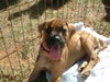 Ruby