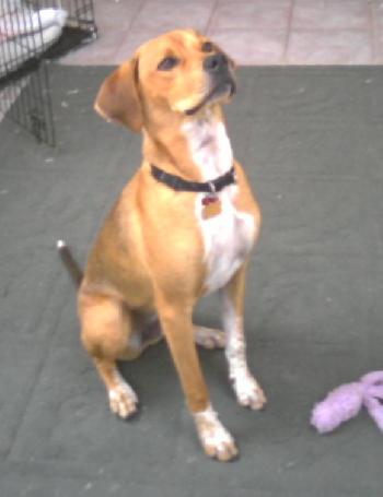 Brady - Application Pending