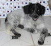 Sawyer