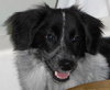 Sawyer