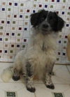 Sawyer