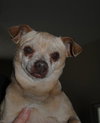 Oscar