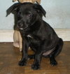Om Onyx/Captain
