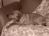 Samson