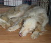 Otho