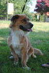 Leroy Brown