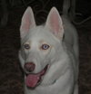 Lola