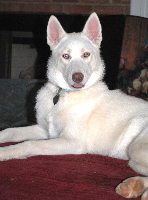 Lola