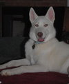 Lola