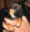 Laverne