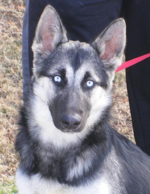 Luna