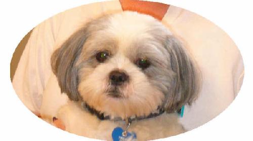 Sammy